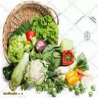 آموزش پرورش صیفی جات با مدرک در تهران در گروه دوره آموزش کشاورزی در یکمیوه