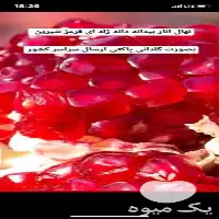 خرید نهال انار واندرفول کشت بافت در اصفهان در گروه خرید و فروش نهال انار در یکمیوه