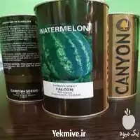 قیمت خرید بذر هندوانه فالکون در تهران در گروه خرید و فروش بذر هندوانه در یکمیوه