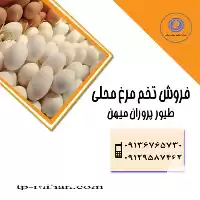 مرغ پوست قهوه ای پوست سفید در تهران در گروه انواع تخم ها در یکمیوه