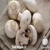 پرورش قارچ دکمه ای حرفه ای در تهران در گروه دوره آموزش کشاورزی در یکمیوه