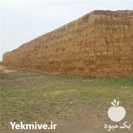 فروش یونجه در تهران در گروه خوراک دام و طیور در یکمیوه -عکس1