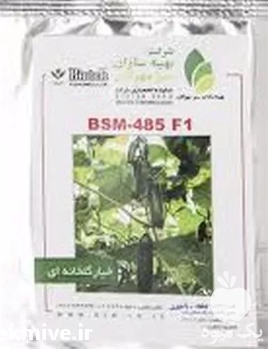 فروش بذر خیار درختی 485 در گروه خرید و فروش بذر خیار در یکمیوه -عکس1