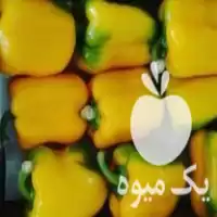 سرمایه گذار جهت صادرات میوه در تهران در گروه نیازمند سرمایه محصولات کشاورزی در یکمیوه