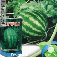 فروش بذر هندوانه میکادو در هرمز در گروه خرید و فروش بذر هندوانه در یکمیوه