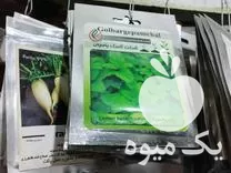 فروش انواع بذرمیوه و صیفی جات در مشهد در گروه خرید و فروش بذر میوه در یکمیوه -عکس1