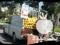 همکار جهت میوه و تره بار در گرگان در گروه بارفروشی محصولات کشاورزی در یکمیوه -عکس1