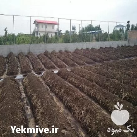 فروش کود ورمی کمپوست در ورامین در گروه خرید و فروش کود کمپوست در یکمیوه -عکس1