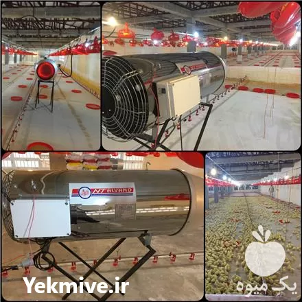 خرید جت هیترهای گازی دوگانه سوز در اردبیل در گروه خرید و فروش بخاری و هیتر گلخانه در یکمیوه -عکس1