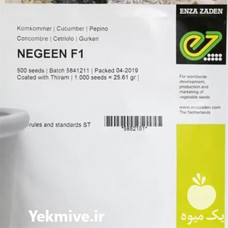 فروش بذر خیار نگین در هرمز در گروه خرید و فروش بذر خیار در یکمیوه -عکس1