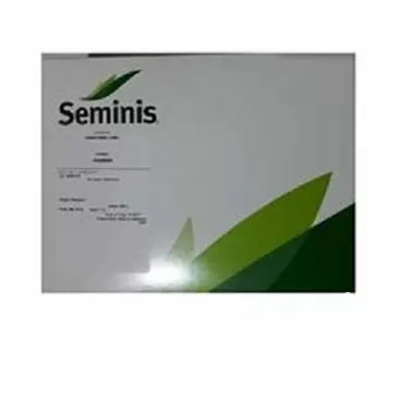 فروش ویژه بذر ذرت بیسین در همدان در گروه خرید و فروش بذر ذرت در یکمیوه -عکس1