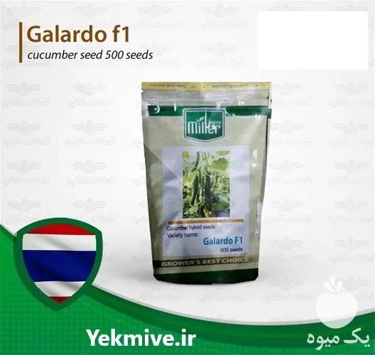 خرید پربارترین بذر خیار گلخانه ای در البرز در گروه خرید و فروش بذر خیار در یکمیوه -عکس1