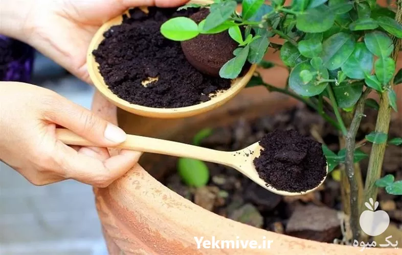 قیمت خرید عمده خاک گلدان در تهران در گروه انواع محصولات خاک و تغذیه در یکمیوه -عکس1