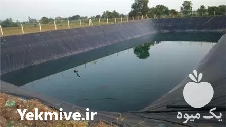 قیمت خرید ورق ژئوممبران در تهران در گروه خرید و فروش ژئوممبران در یکمیوه -عکس1