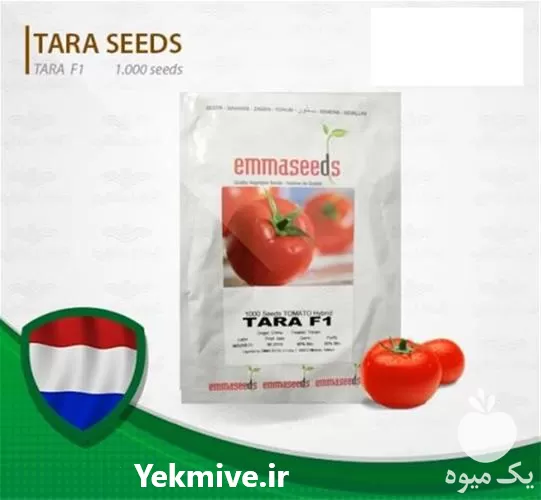 خرید بذر گوجه گرد زودرس تارا در گروه خرید و فروش بذر گوجه در یکمیوه -عکس1