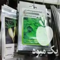 فروش انواع بذرمیوه و صیفی جات در مشهد در گروه خرید و فروش بذر میوه در یکمیوه