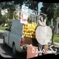 همکار جهت میوه و تره بار در گرگان در گروه بارفروشی محصولات کشاورزی در یکمیوه