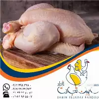 خرید تولید پخش گوشت بوقلمون سابین در تهران در گروه مرغ و خروس و بوقلمون و اردک قو قاز در یکمیوه