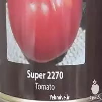 بذر گوجه فرنگی سوپر 2270 کانیون در گروه خرید و فروش بذر گوجه در یکمیوه