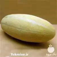 بذر خربزه بونانزا خرید بذر خربزه بونانزا در خراسان شمالی در گروه خرید و فروش بذر خربزه در یکمیوه