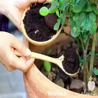 قیمت خرید عمده خاک گلدان در تهران در گروه انواع محصولات خاک و تغذیه در یکمیوه