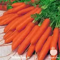 خرید بذر هویج پریستو ویلمورن F 1 در گروه خرید و فروش بذر هویج در یکمیوه
