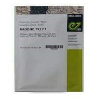 بذر خیار گلخانه ای ناگین در فارس در گروه خرید و فروش بذر خیار در یکمیوه