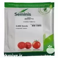 بذر گوجه فرنگی برنتا هیبرید بازار در خوزستان در گروه خرید و فروش بذر گوجه در یکمیوه