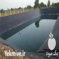 قیمت خرید ورق ژئوممبران در تهران در گروه خرید و فروش ژئوممبران در یکمیوه