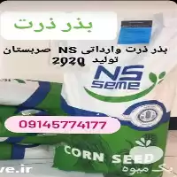 بذر ذرت ایرانی خارجی فروش باپایین در خوزستان در گروه خرید و فروش بذر ذرت در یکمیوه