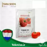 خرید بذر گوجه گرد زودرس تارا در گروه خرید و فروش بذر گوجه در یکمیوه