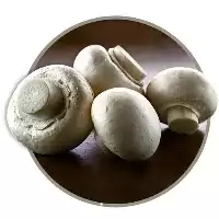 آموزش کامل و جامع پرورش قارچ در تهران در گروه دوره آموزش کشاورزی در یکمیوه