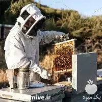 آموزش پرورش زنبور عسل در گروه دوره آموزش کشاورزی در یکمیوه