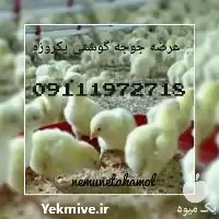 فروش پخش در مازندران در گروه خوراک دام و طیور در یکمیوه