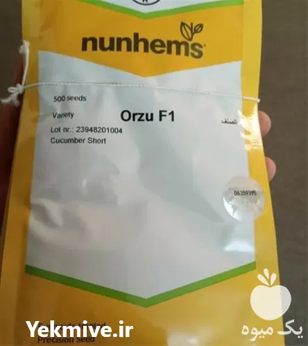فروش بذر خیار گلخانه ای آرزو در خوزستان در گروه خرید و فروش بذر خیار در یکمیوه -عکس1
