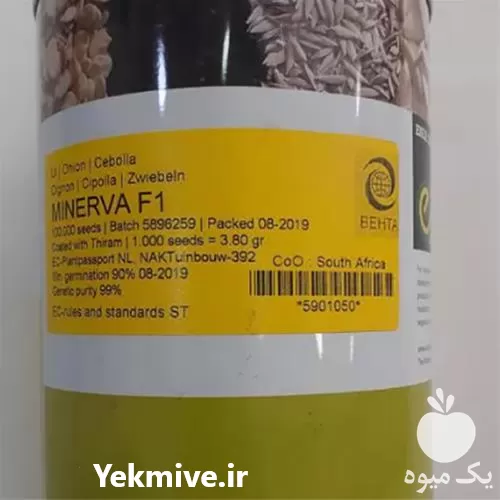 فروش بذر پیاز در فارس در گروه خرید و فروش بذر پیاز در یکمیوه -عکس1