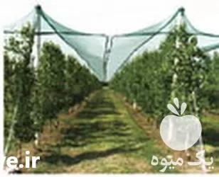 قیمت خرید توری ضد تگرگ در گروه خرید و فروش توری گلخانه در یکمیوه -عکس1