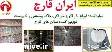خرید ایران قارچ تامین کننده کمپوست در گروه خرید و فروش رطوبت ساز در یکمیوه -عکس1