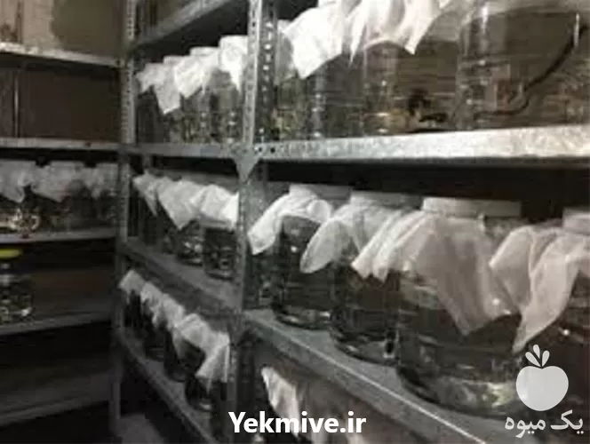 آموزش پرورش تکثیر زالو طبی در گروه دوره آموزش کشاورزی در یکمیوه -عکس1