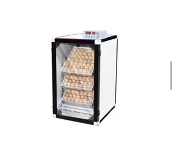 دستگاه های جوجه کشی تایی ارکام در قزوین در گروه انواع تخم ها در یکمیوه -عکس1