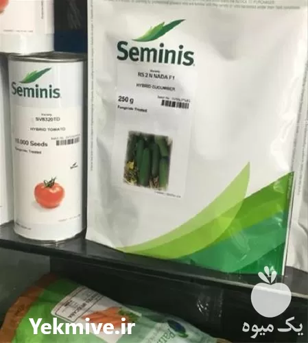 خرید سراسری بذر خیار 2 n نادا در خراسان رضوی در گروه خرید و فروش بذر خیار در یکمیوه -عکس1