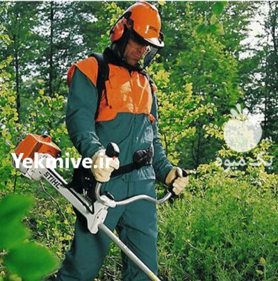 علف تراشی کلیه باغات در گروه خدمات باغبانی در یکمیوه -عکس1