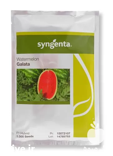 بذر هندوانه گالاتا کریمسون سوئیت شرکت در کردستان در گروه خرید و فروش بذر هندوانه در یکمیوه -عکس1