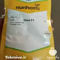 فروش بذر خیار گلخانه ای آرزو در خوزستان در گروه خرید و فروش بذر خیار در یکمیوه