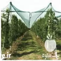 قیمت خرید توری ضد تگرگ در گروه خرید و فروش توری گلخانه در یکمیوه