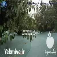 قیمت خرید توری جمع آوری محصول در تهران در گروه خرید و فروش توری گلخانه در یکمیوه