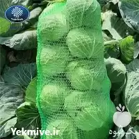 فروش توری کلم در گروه خرید و فروش توری گلخانه در یکمیوه