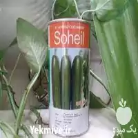 خرید بذر خیار سهیل از ارقام در خراسان رضوی در گروه خرید و فروش بذر خیار در یکمیوه