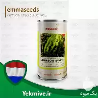 خرید بذر هندوانه کریمسون سوئیت هلندی در تهران در گروه خرید و فروش بذر هندوانه در یکمیوه