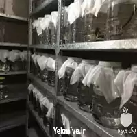 آموزش پرورش تکثیر زالو طبی در گروه دوره آموزش کشاورزی در یکمیوه